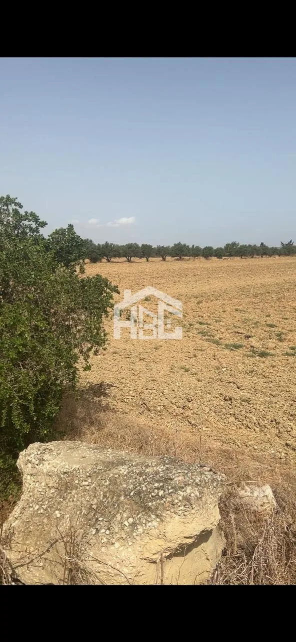 Terrain Agricole de 4.26 Hectares
